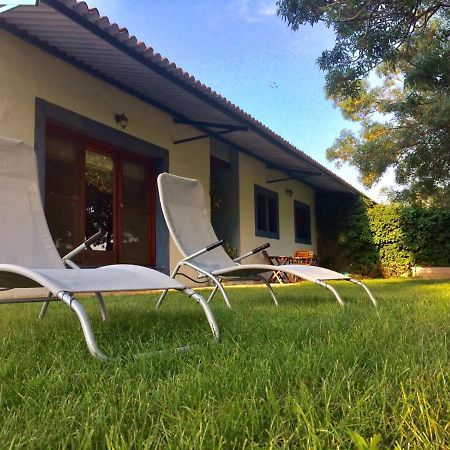 Allotjament Rural Illa De Mar Deltebre Εξωτερικό φωτογραφία