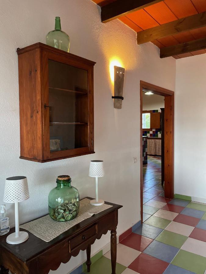 Allotjament Rural Illa De Mar Deltebre Εξωτερικό φωτογραφία
