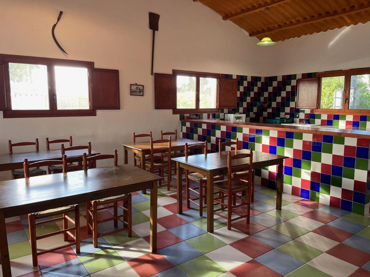 Allotjament Rural Illa De Mar Deltebre Εξωτερικό φωτογραφία
